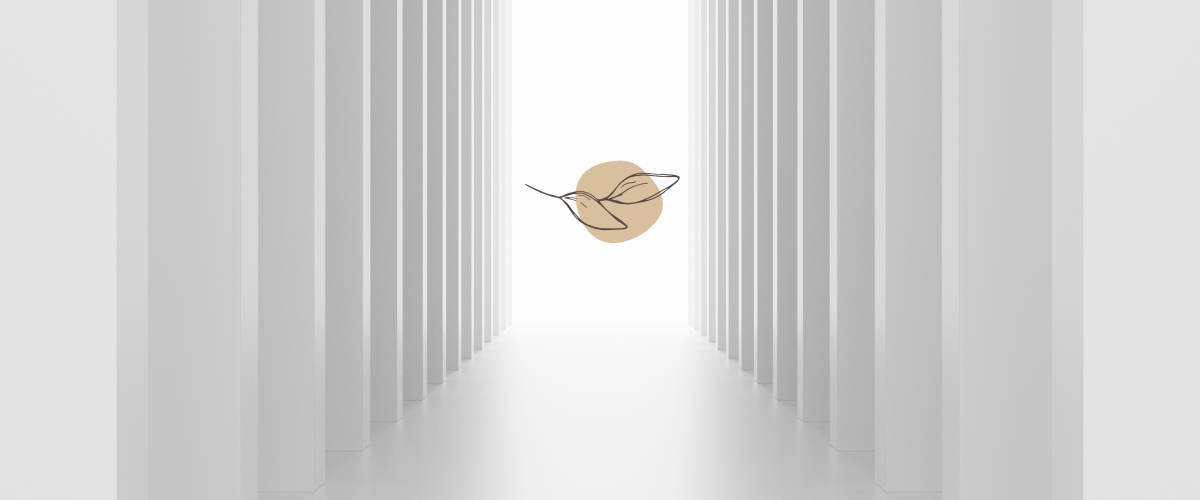 Minimalist corridor with ELENAX hummingbird logo in the center, symbolizing brand vision and forward momentum.